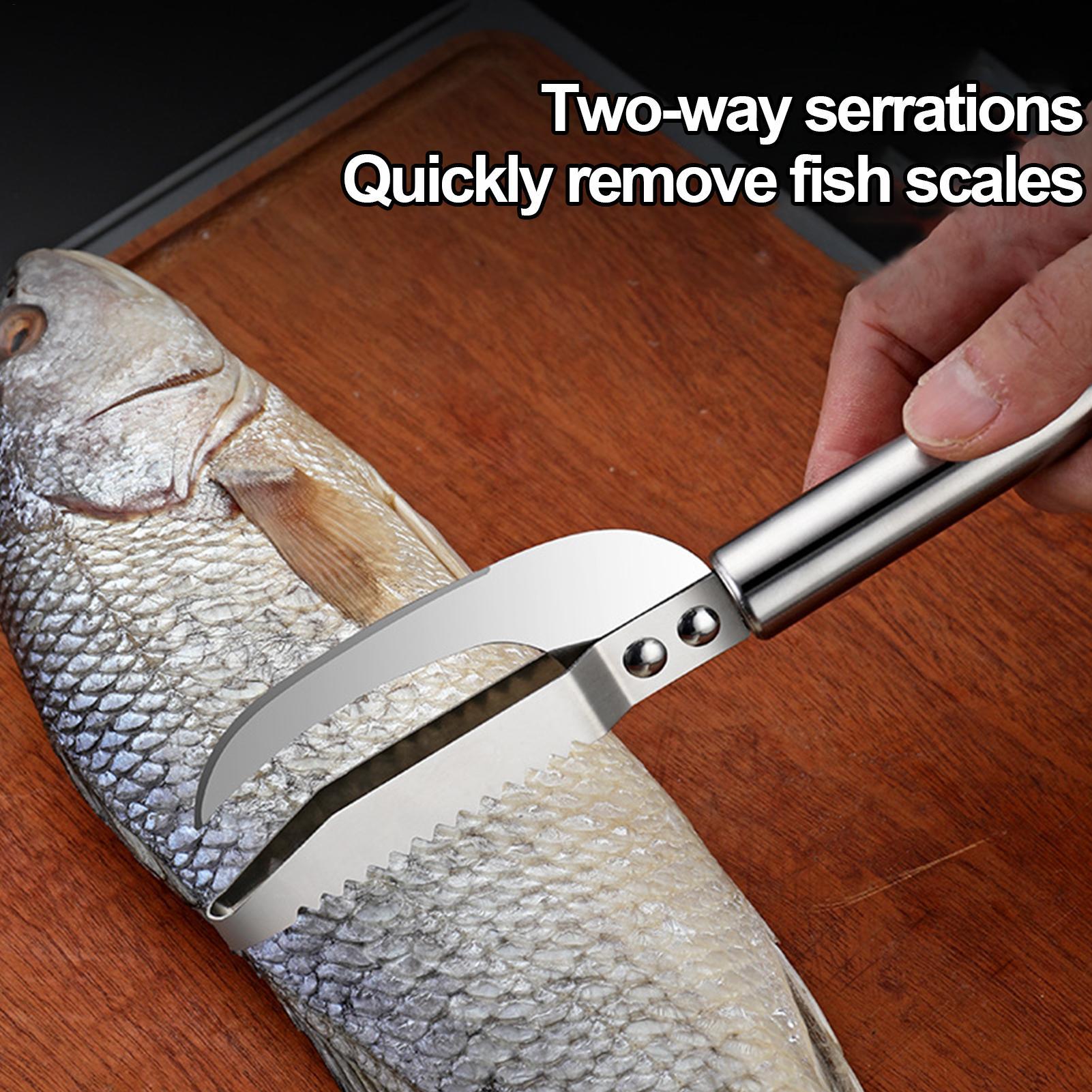 Removedor de Escamas de Peixe, - Kitchen Gadget Amazon avaliação e preço