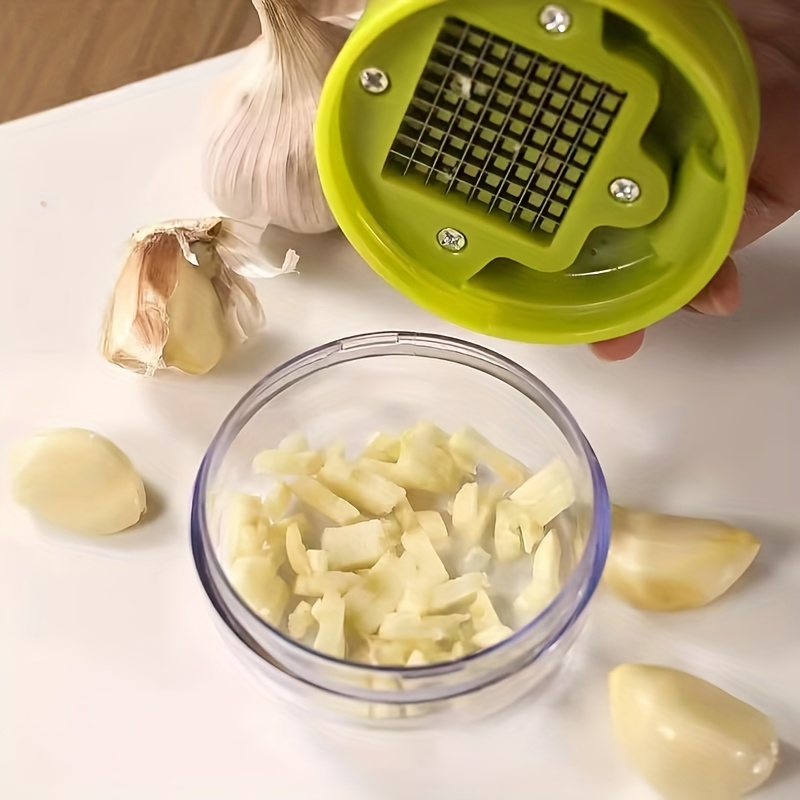 Processador de Alho Manual 1 P - Manual Garlic Press avaliação e preço