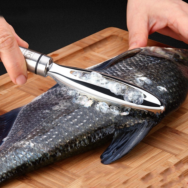 Escamas de peixe inoxidável ra - Kitchen Gadget Amazon avaliação e preço