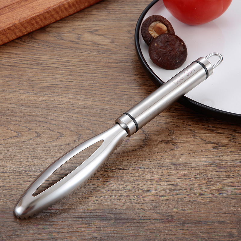 Escamas de peixe inoxidável ra - Kitchen Gadget Amazon avaliação e preço